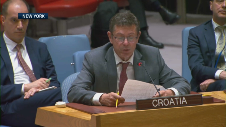 Hrvatski ambasador u UN dao podršku Schmidtu za nametnute odluke, pozvao BiH da riješi “izborni” problem